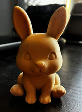 Bunny/Rabbit Bunny/Rabbit